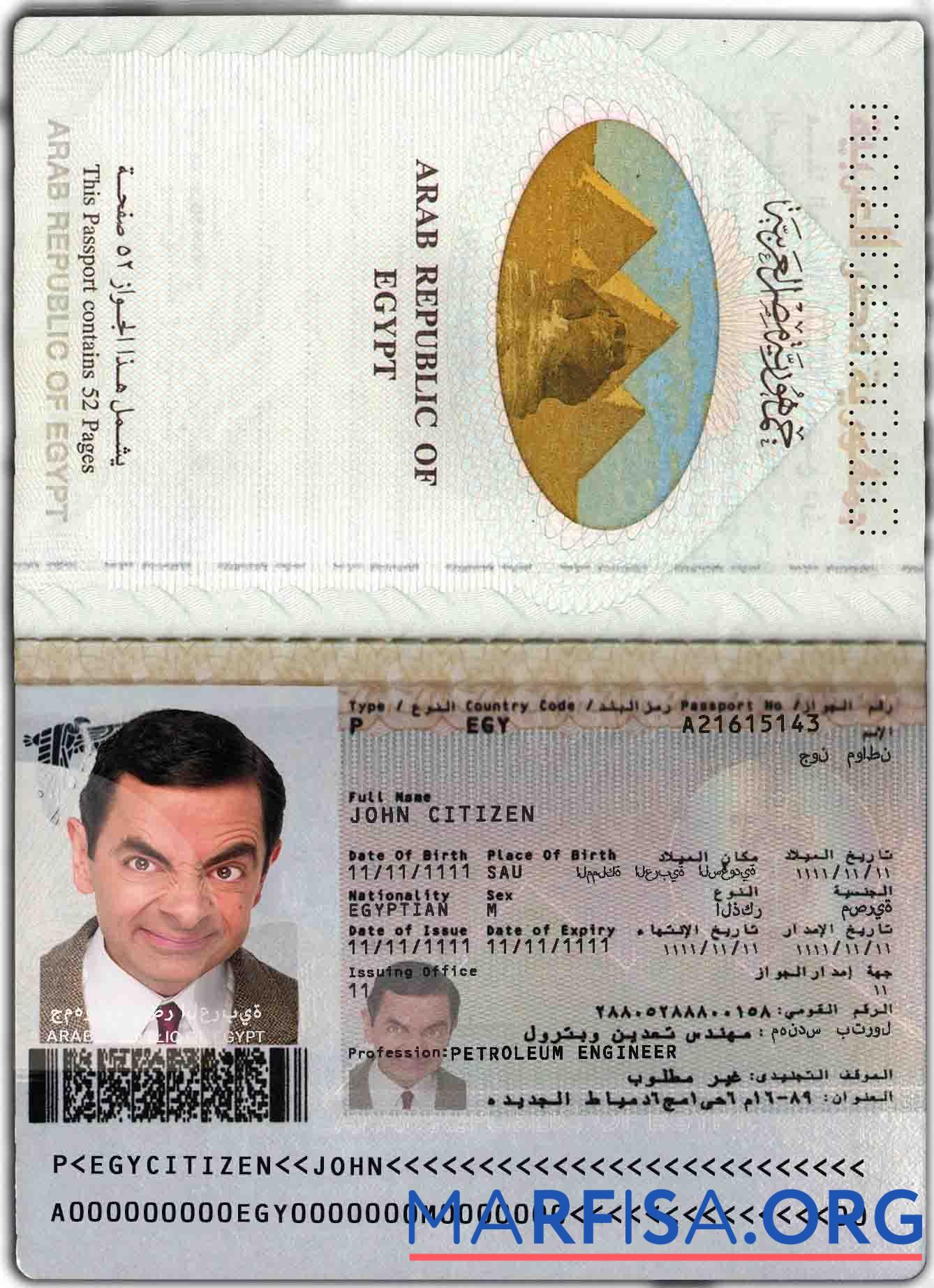 Realistic Egypt passport real example